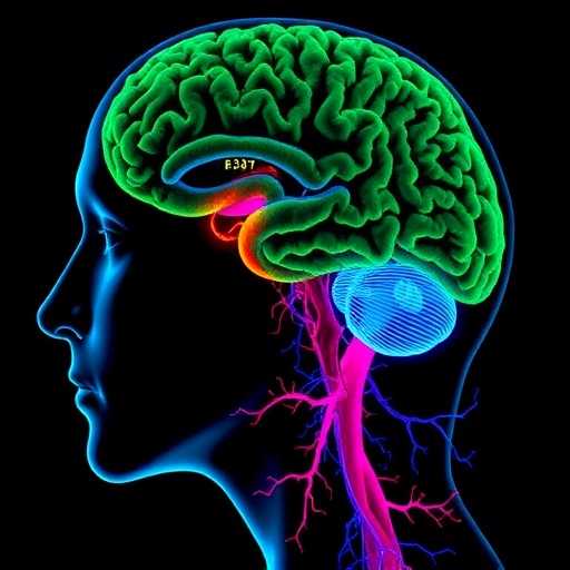 How Aging and Alzheimer’s Reshape Human Microglia and Brain Perivascular Macrophages