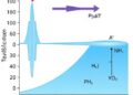 How Anions Shape Ni(OH)₂ Synthesis and Seawater Electrolysis Performance