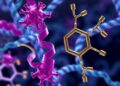 How BRI1 Receptors Recognize Diverse Brassinosteroid Hormones
