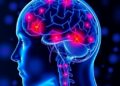 How p53 Drives and Could Treat Autoimmune Rheumatic Diseases