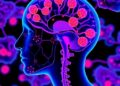Human cancer models speed research and advance precision therapies