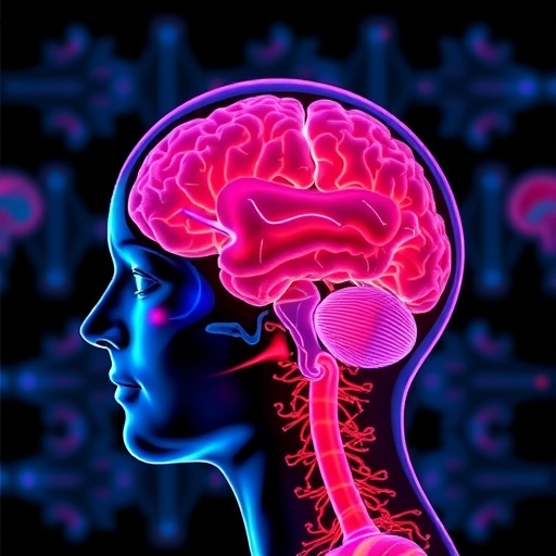 Imaging Reveals How Brain–Body Interactions Shape Systemic Disease