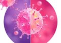 Immune Cell Differences Predict Skin Cancer Treatment Outcomes