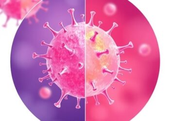 Immune Cell Differences Predict Skin Cancer Treatment Outcomes