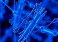 Insilico Medicine Launches Industry’s First Drug Discovery Benchmark-as-a-Service for Frontier AI Models