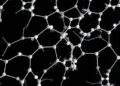 Intraperitoneal Platinum-Graphene Oxide Shows Acute Toxicity and Tissue Deposition in Rats