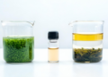 Ionic Liquid Boosts Microalgal Lipid Extraction for Biofuel Research