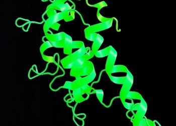 Isolated SACSIN HEPN Domain Exhibits RNA-Binding Activity