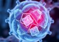 KAIST develops technology reversing irreversible biological changes, advancing aging and cancer research
