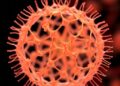 KAIST opens the era of industrial-scale microbial foods, proposing growth strategies for the next-generation protein market