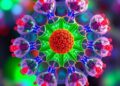 LDH@ZnS Quantum Dots and Flower-Like ZnO Enhance Dithizone Photocatalytic Degradation