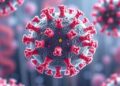 Large DNA viruses carry their own membrane remodelling machinery
