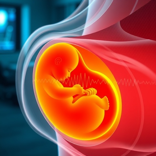 Lightweight AI network delivers reliable fetal monitoring in noisy environments