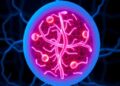 Locking therapeutic strategy could make cancer treatment more precise