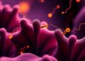 MINFLUX Reveals How Dynein Takes Productive Steps