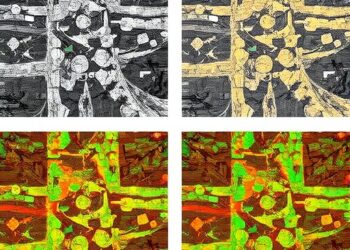 MSSARN: A Multi-Layer Spectral-Spatial Attention Residual Network for Hyperspectral Image Classification
