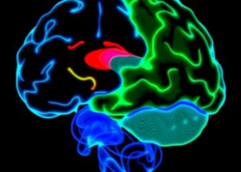 Machine Learning Imaging Predicts Parkinson’s Genotype, Mitochondrial-Lysosomal Abnormalities in iPS Neurons