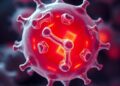 Magnesium Emerges as Key Regulator of Mitochondria, Metabolism, and Aging