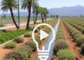 Mediterranean Basin Study Assesses Irrigation Water Quality and Wastewater Reuse Risks
