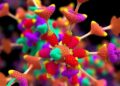 Mol2Image turns drug molecular descriptors into images to predict interactions