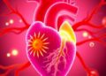 Molecular maps uncover hidden cellular programs driving heart transplant rejection