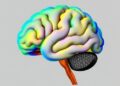 Multi-Resolution Enhancement Improves Full-Spectrum Neural Representations
