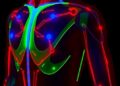 Multicolor Electrochromic Actuators Enable Biomimetic Skin-Muscle Coupling