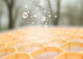 Multiscale Model Uncovers Droplet Transport in Fibrous Membranes for Fog Harvesting