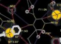 NMR Uncovers Hidden Electrolyte States, Pointing Toward Better Batteries