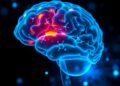 Nasal CRISPR Lipid Nanoparticles Targeting MAPK9 Reduce Brain Inflammation After Traumatic Injury