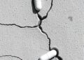 Nested Capsules Enable Secondary Self-Healing of Concrete Cracks