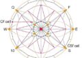 New Emmy Noether Group Builds Theoretical Foundations for Geometric Quantum Matter