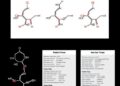 New Framework Reveals Unannotated Metabolites by Linking Chemical Clusters and Retention Times