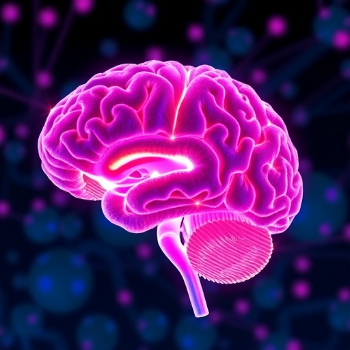 New Neuropsychiatric Journal Illuminates Brain-Behavior Links in Mental and Neurological Health