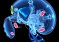 New Review Examines Noninvasive 3D Reconstruction Methods for Transparent Objects