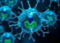 New Study Challenges Long-Held Assumption in Cell Biology