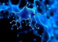 New Tool Reveals Hidden Patterns in Complex Biological Data