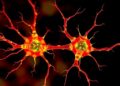 New method reveals how degenerative diseases affect individual cells