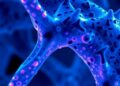 New method unlocks insights from preserved tissues
