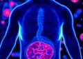 Noninvasive Physical Stimulation Reprograms Tumor Macrophages for Cancer Immunotherapy
