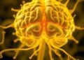Notoginseng polysaccharide nanoparticles reprogram microglia metabolism to ease Alzheimer’s disease
