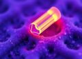 Optical Microcantilever Creates Piconewton-Sensitive Stethoscope for Cells