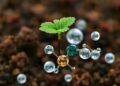 Optimized method extracts soil nanoplastics while preserving particle integrity