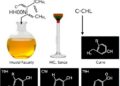 Organobismuth Transporter Enables Regioselective α-Arylation of Diverse Carbonyl Compounds