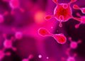 Panobinostat Protects Splenic B Cells from Radiation Damage, Altering IL-17 Signaling