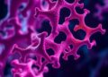 Parkin Ubiquitination Shapes Its Tumor-Suppressing Role in Cervical Cancer