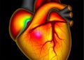 Pediatric Left Ventricular Noncompaction: From Trabeculation Phenotype to Prognosis