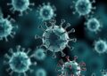 Phage contingency loci let viruses hedge against bacterial defenses