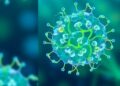 Photosynthetic Microorganisms Enable Long-Lasting, Renewable Chemical Production