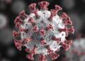 Prior antibodies shape distinct immune responses to influenza vaccination